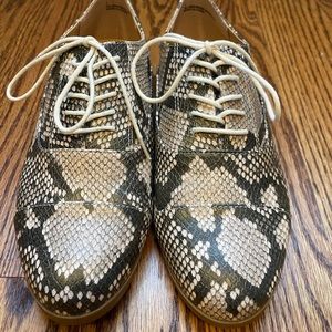 Express snakeskin lace up Oxford